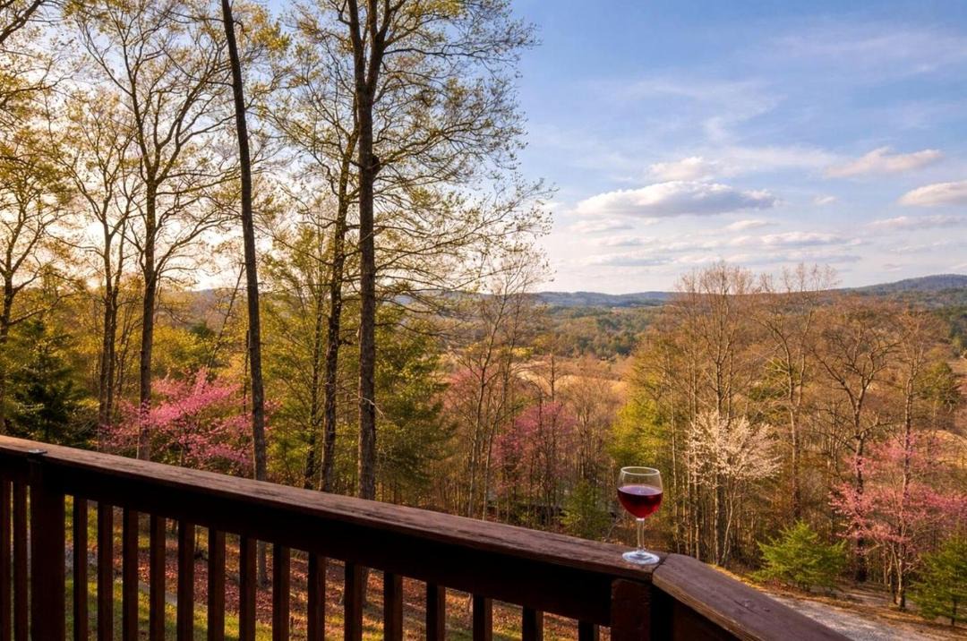 Blairsville House | Incredible Mountain Cabin for a Memorable Family Getaway in Nature near Blairsville, Georgia