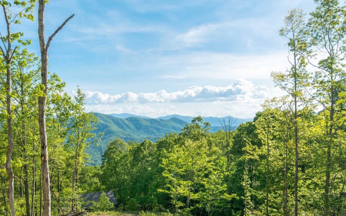 Photo of Others in Bryson City