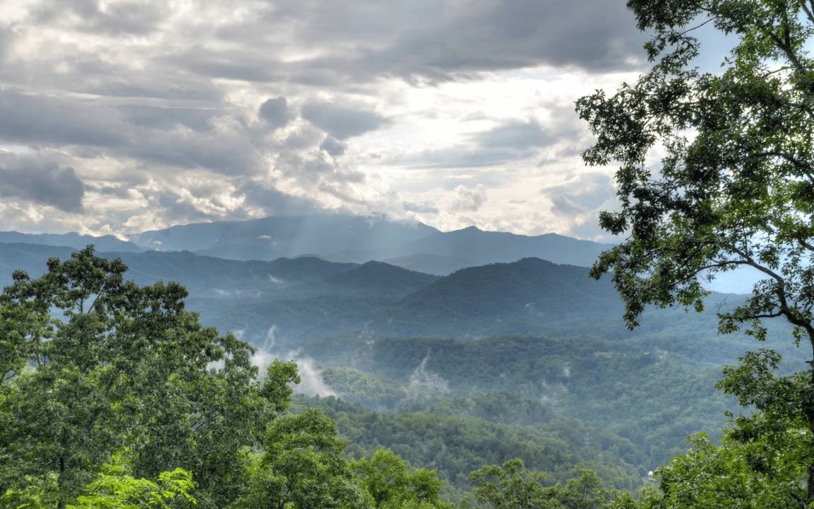 Photo of Others in Bryson City