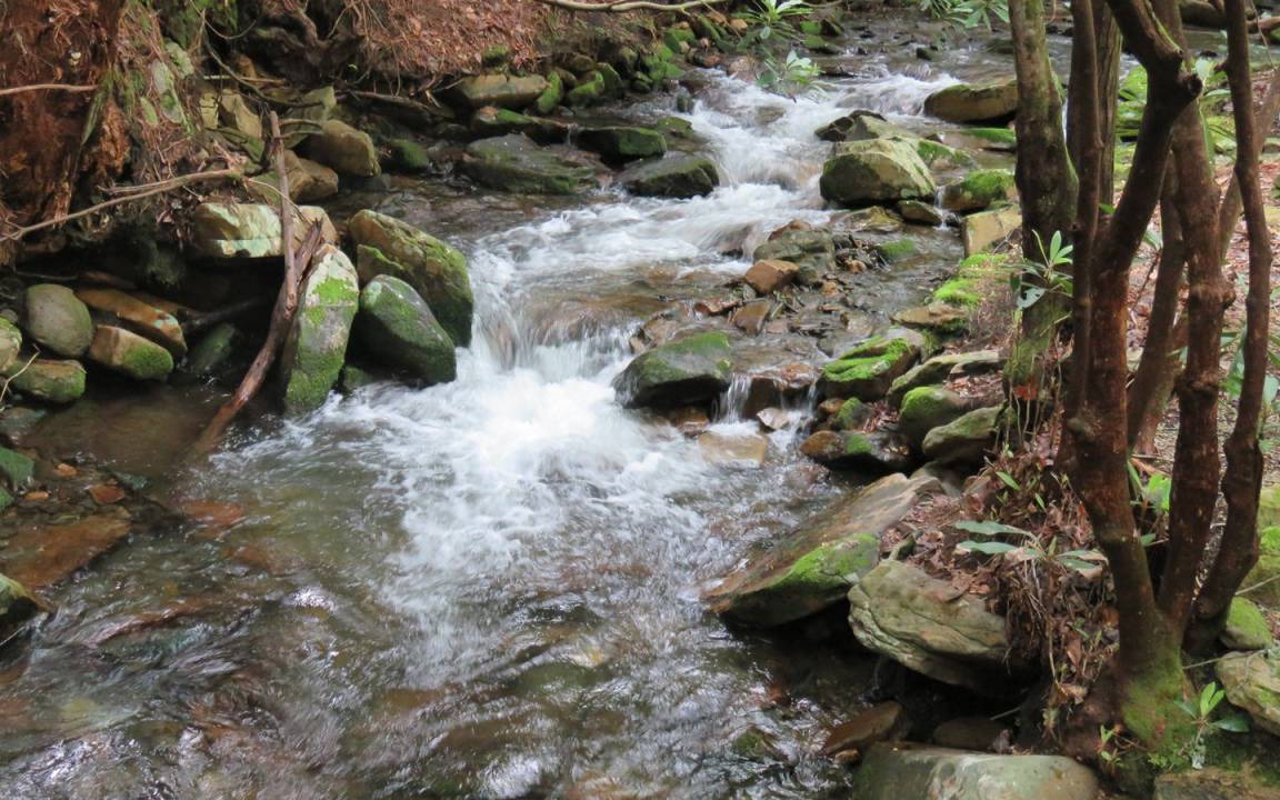 Photo of Others in Robbinsville