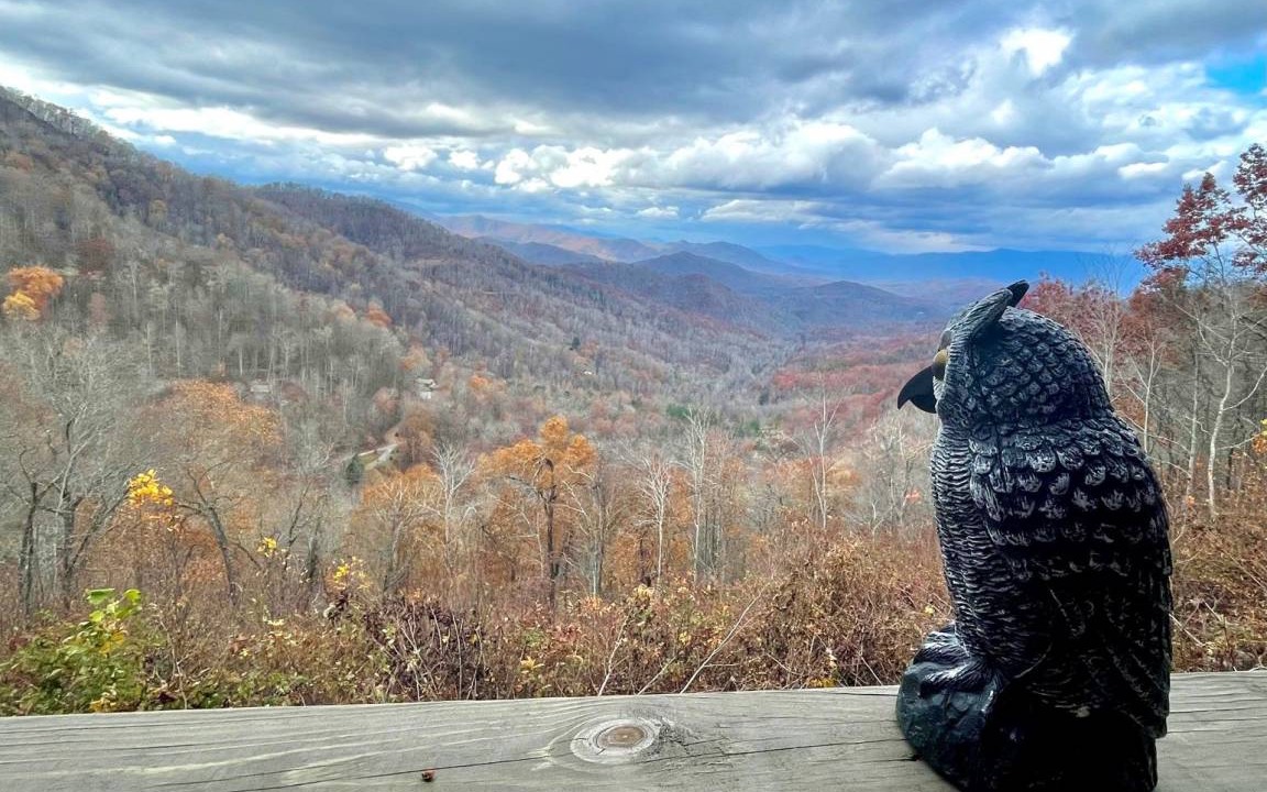 Photo of Outdoor in Bryson City