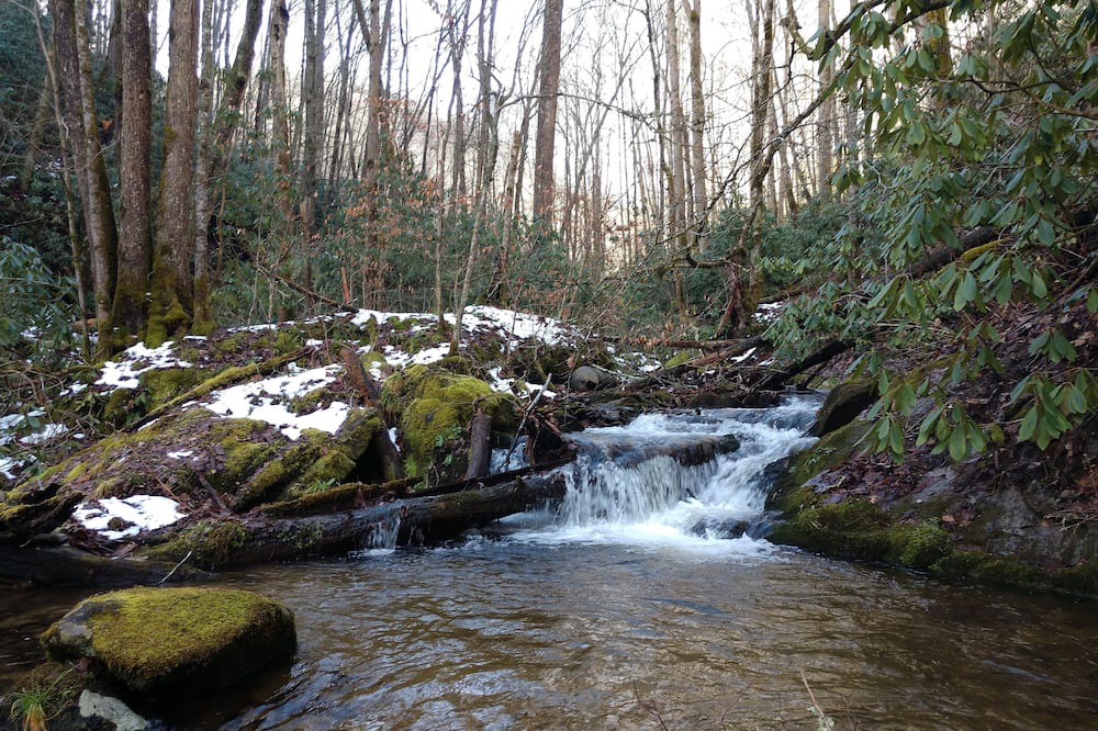 Photo of Others in Roan Mountain