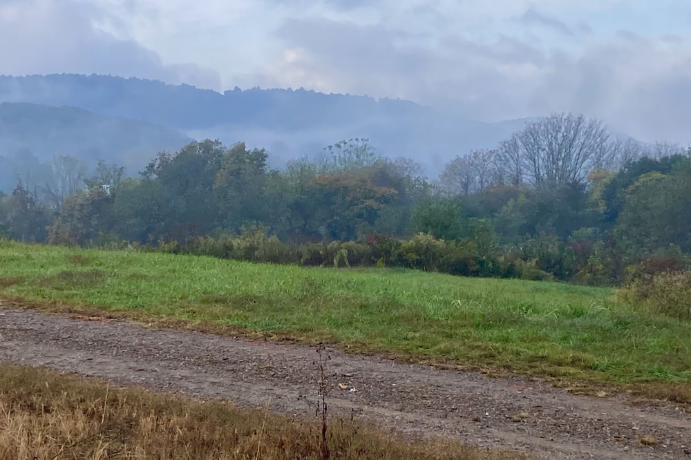 Photo of Outdoor in Roaring River