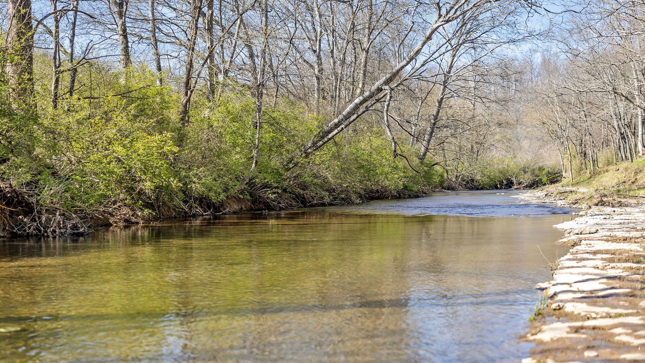Photo of Outdoor in Franklin