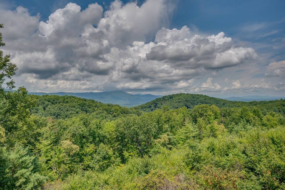 Photo of Others in Piney Mountain