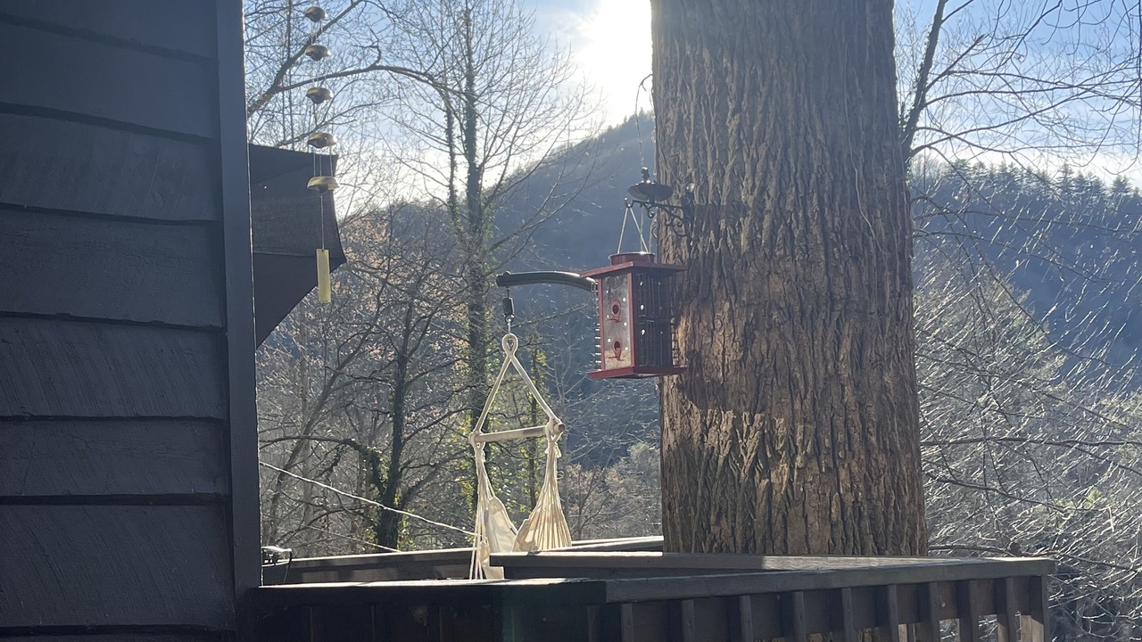 Photo of Outdoor in Highlands
