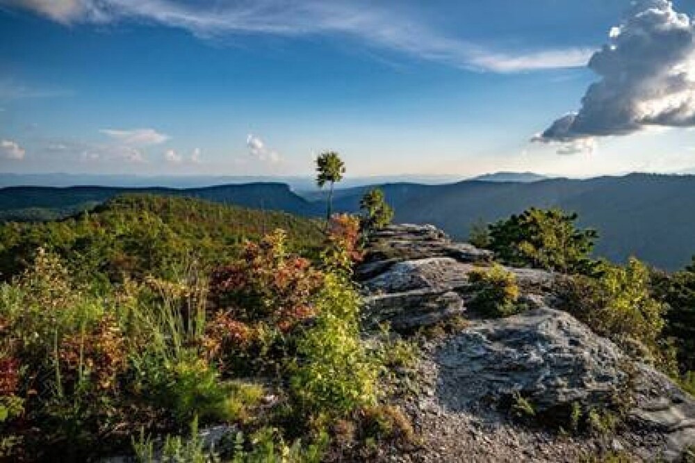 Photo of Others in Morganton