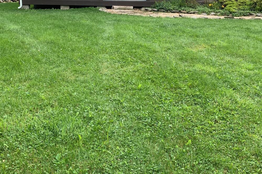 Photo of Outdoor in Flat Top