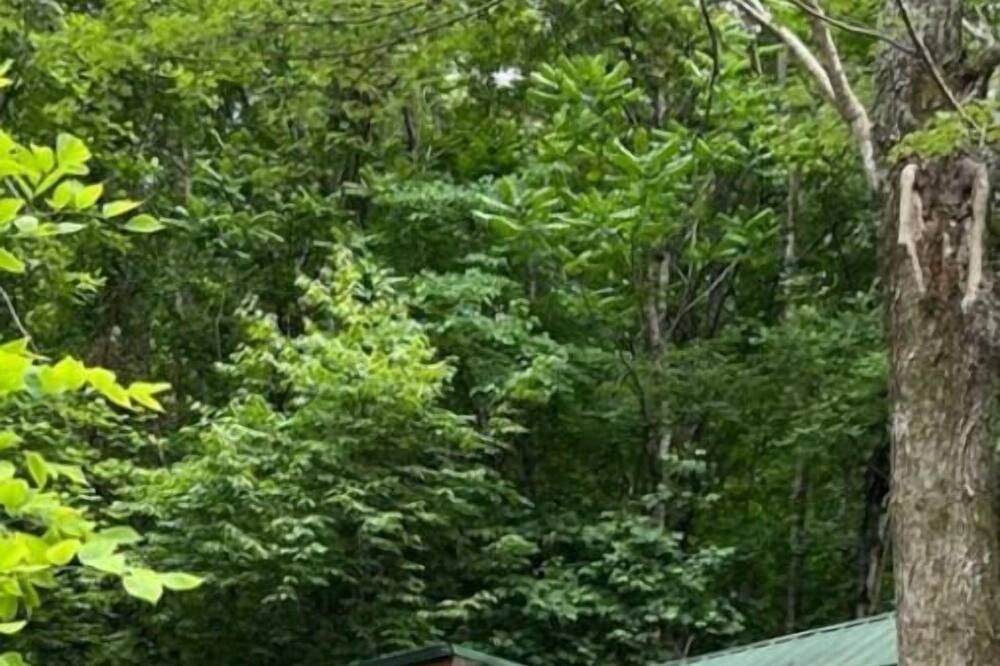 Photo of Outdoor in Saluda