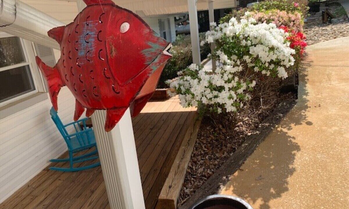 Photo of Outdoor in Martin