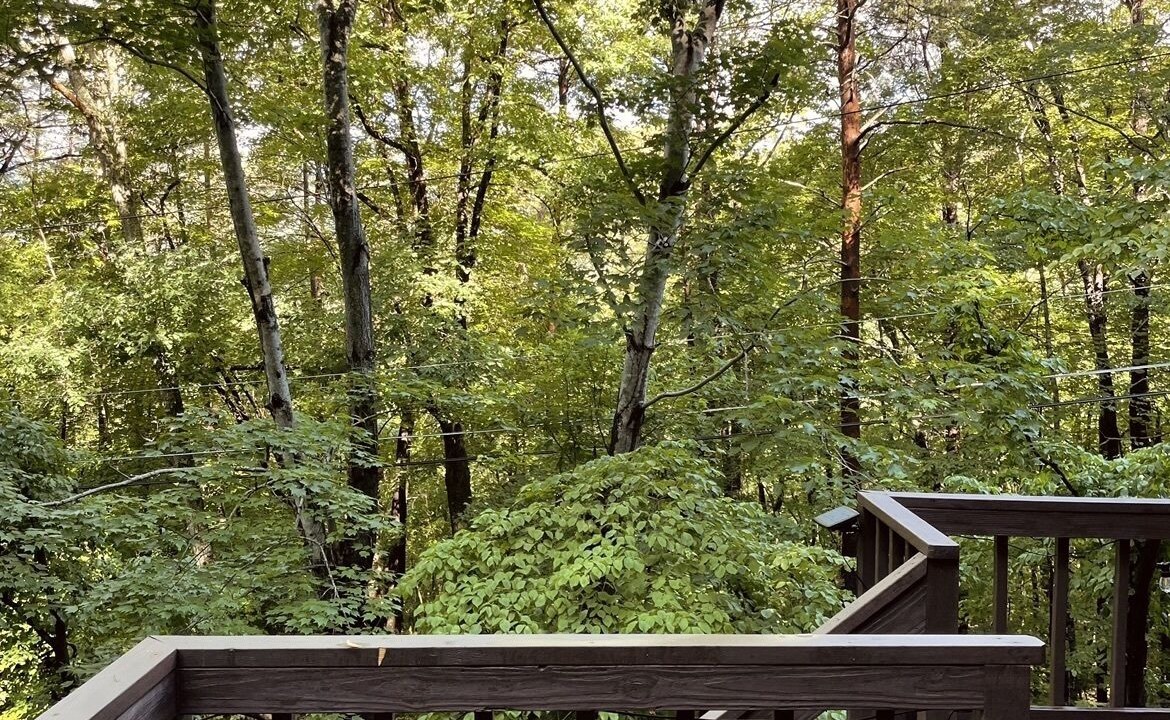 Photo of Outdoor in Lake Lure