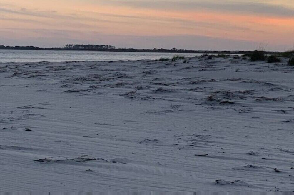 Photo of Others in Daufuskie Island