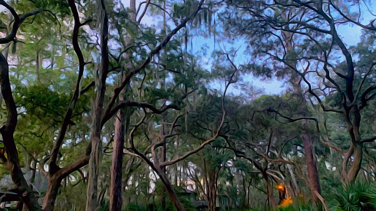 Photo of Outdoor in Sea Pines