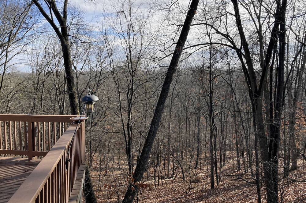 Photo of Outdoor in The Woods