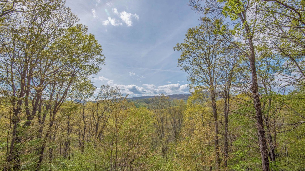Photo of Outdoor in West Jefferson