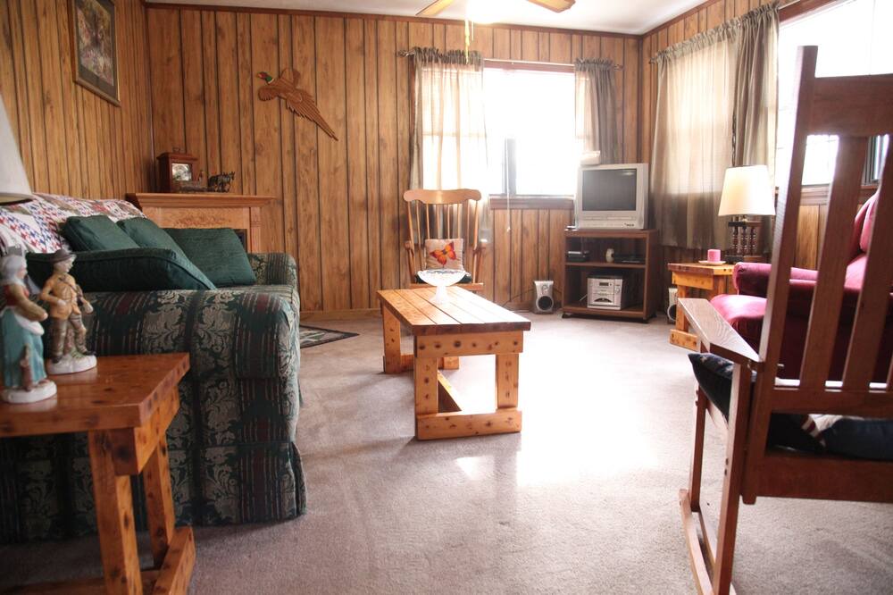 Photo of Livingroom in Hendersonville