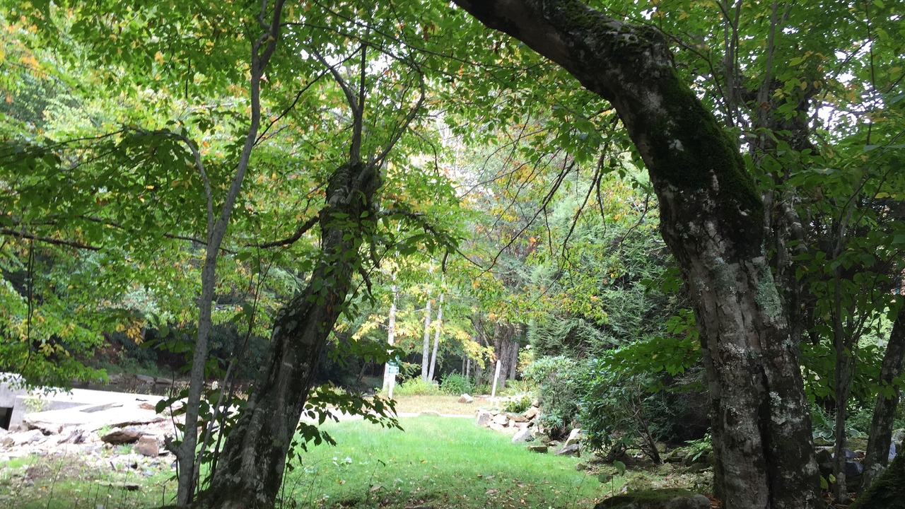 Photo of Outdoor in Newland