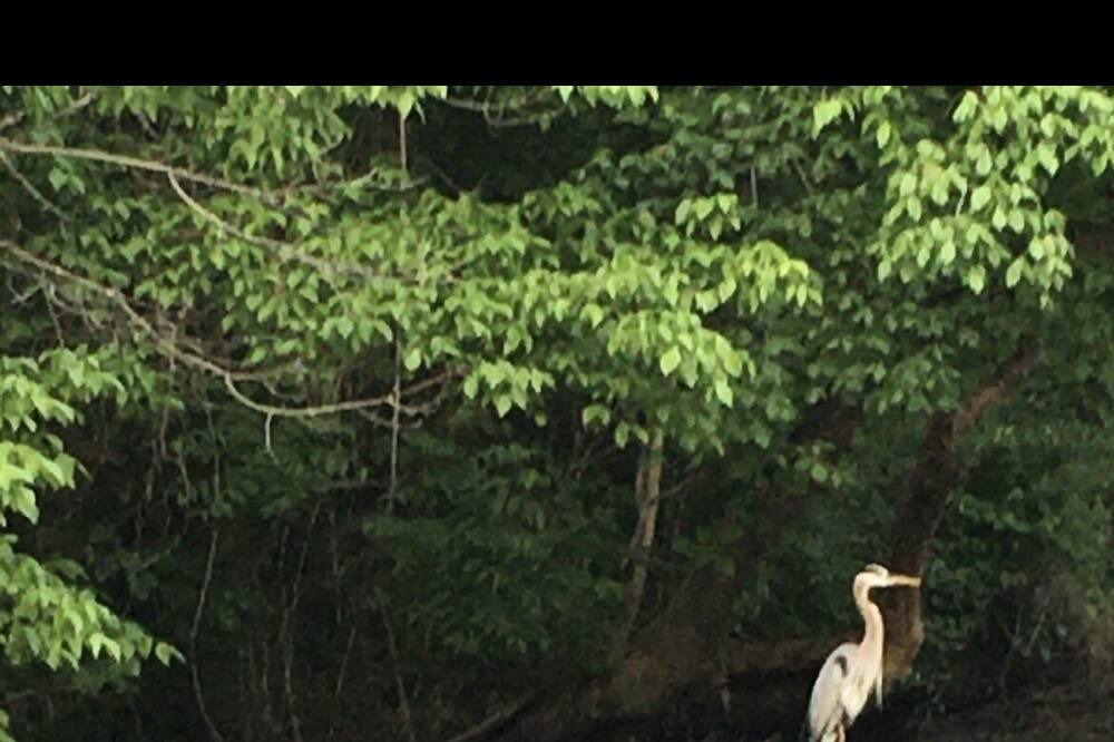 Photo of Others in Ashland City