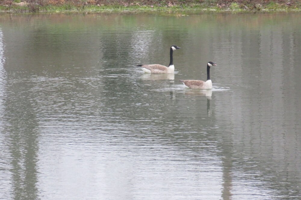 Photo of Others in East Bernstadt