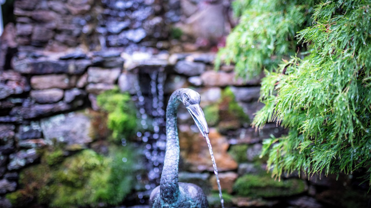 Photo of Outdoor in Bryson City