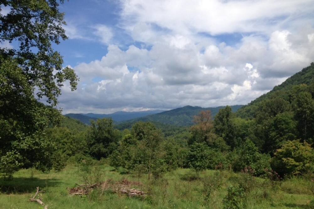 Photo of Outdoor in Weaverville