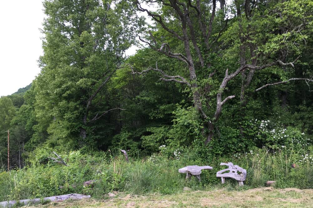 Photo of Outdoor in Weaverville