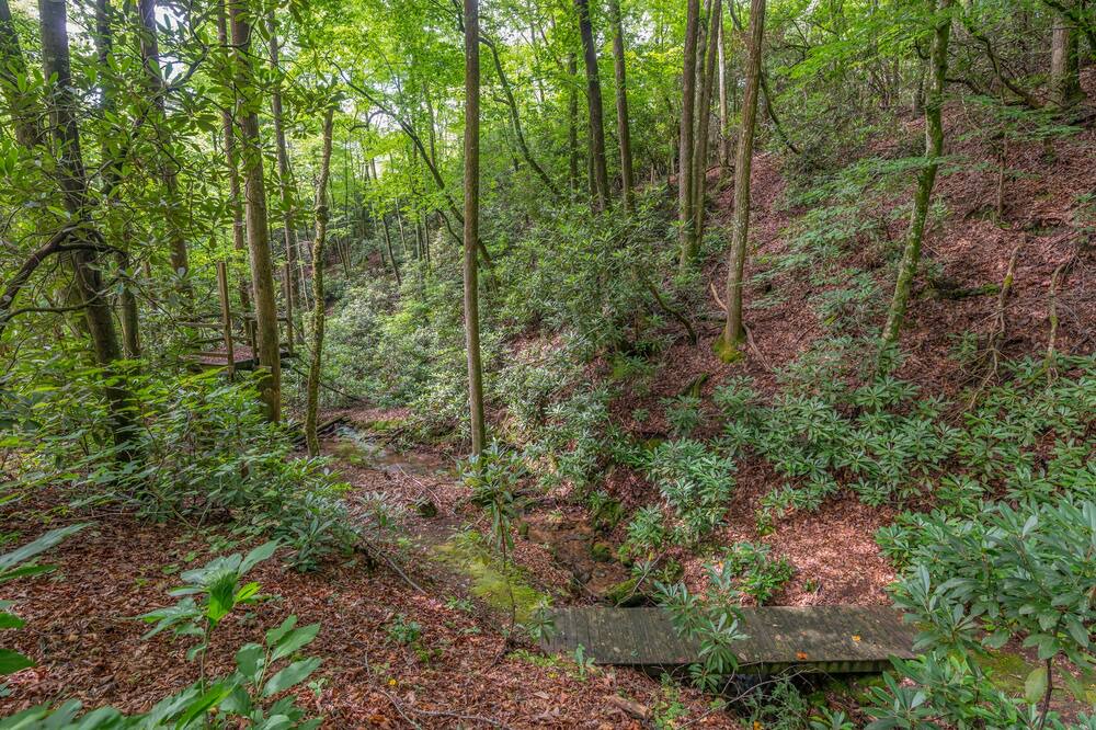 Photo of Outdoor in Mills River