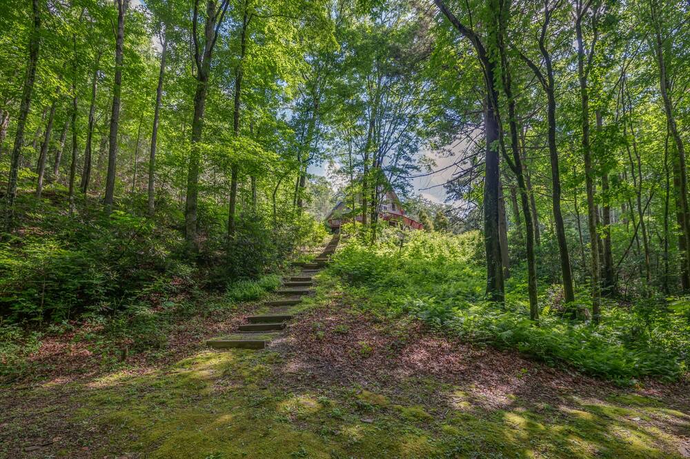 Photo of Outdoor in Mills River