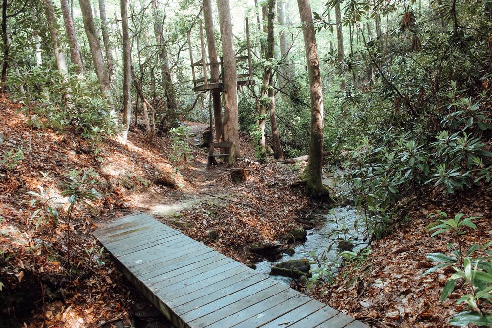 Photo of Outdoor in Mills River
