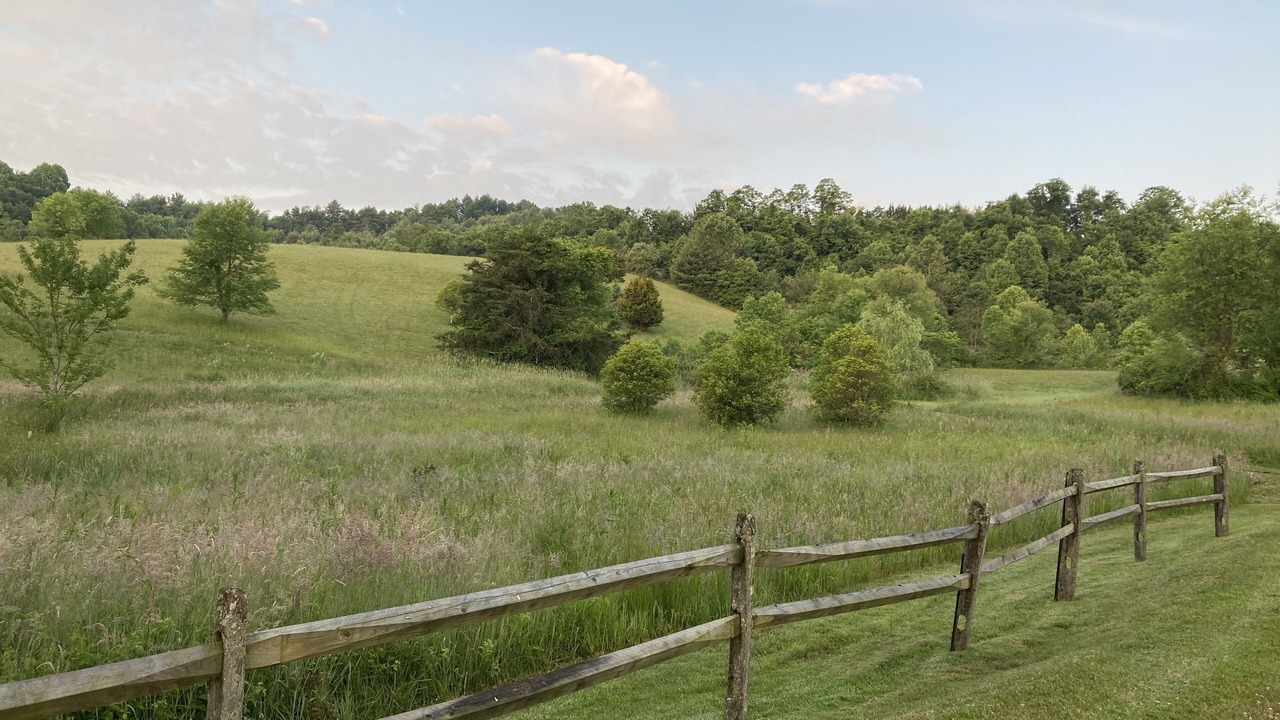 Photo of Outdoor in Hico