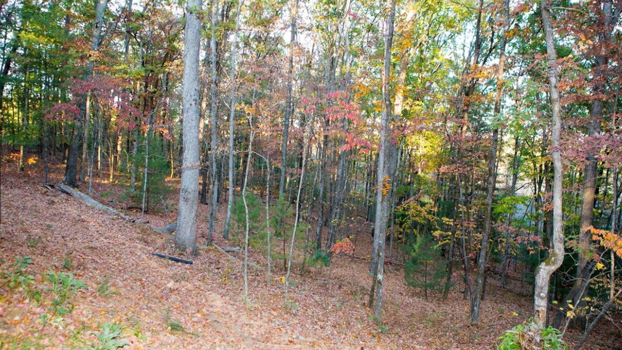 Photo of Outdoor in Mountain Rest