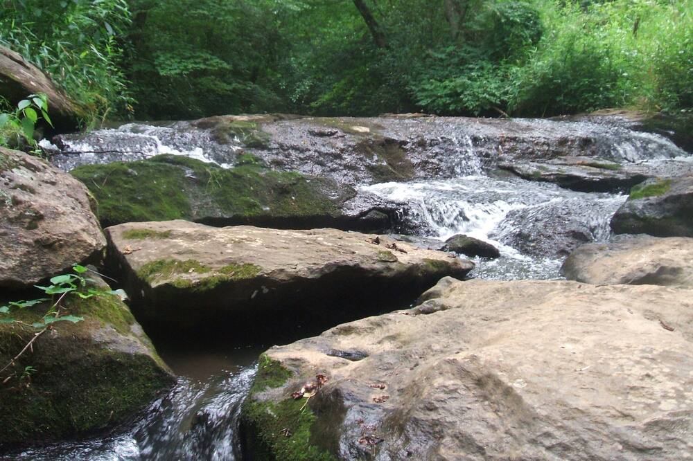 Photo of Others in Dahlonega