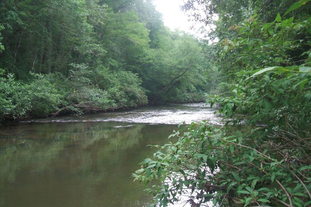 Photo of Others in Dahlonega