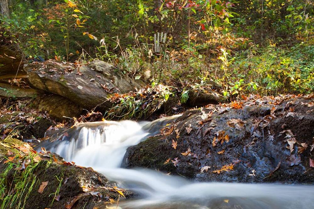 Photo of Outdoor in Dahlonega