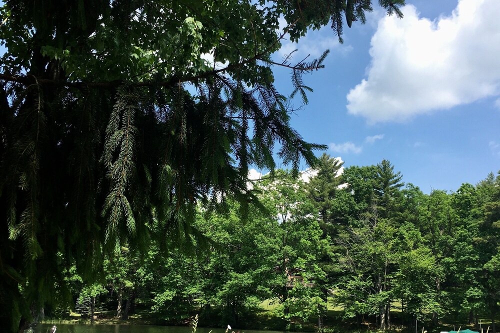 Photo of Outdoor in North Glade Hills