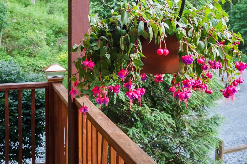 Photo of Patio Balcony in Banner Elk