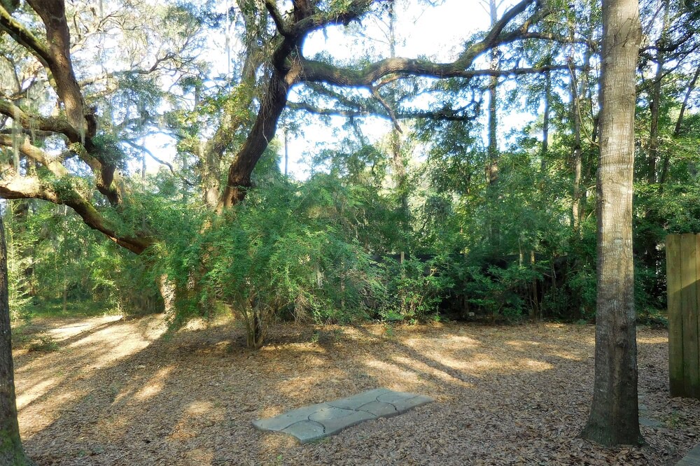 Photo of Others in Edisto Island