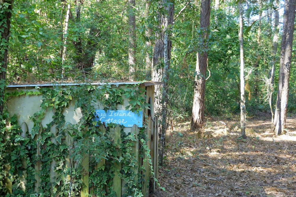 Photo of Outdoor in Edisto Island