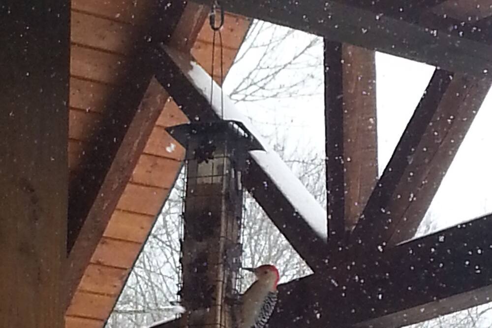 Photo of Outdoor in Butler