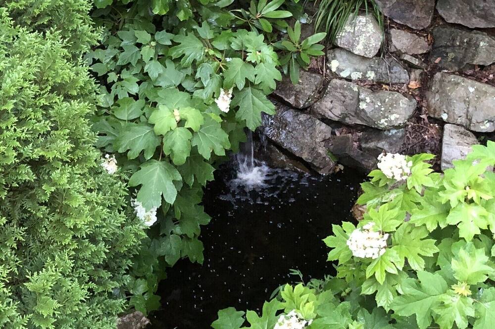 Photo of Outdoor in Butler