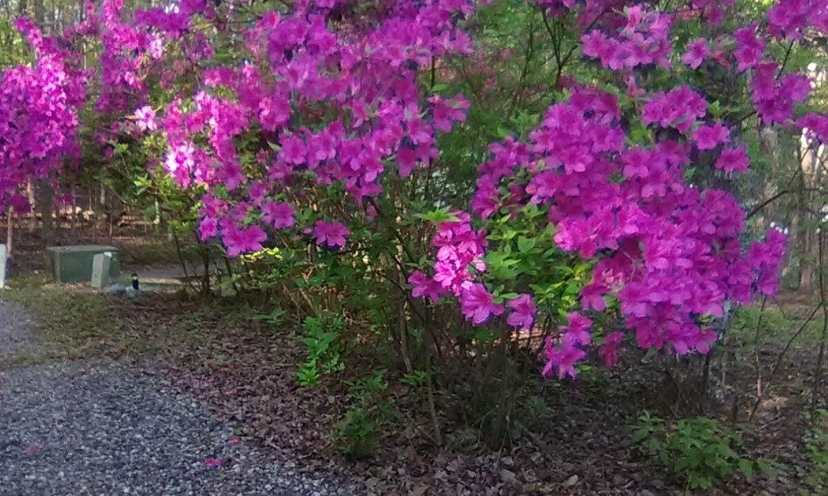 Photo of Outdoor in Sunset Cove