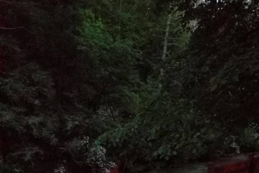 Photo of Outdoor in Ellijay