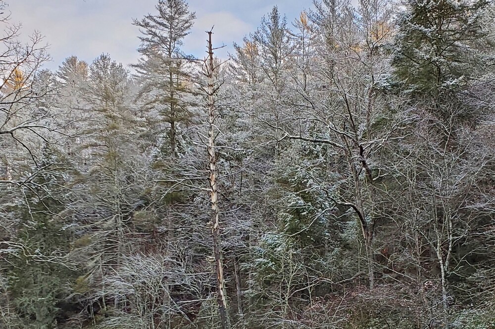 Photo of Outdoor in Ellijay