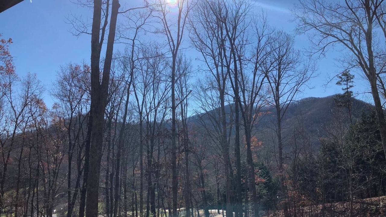 Photo of Others in Candler