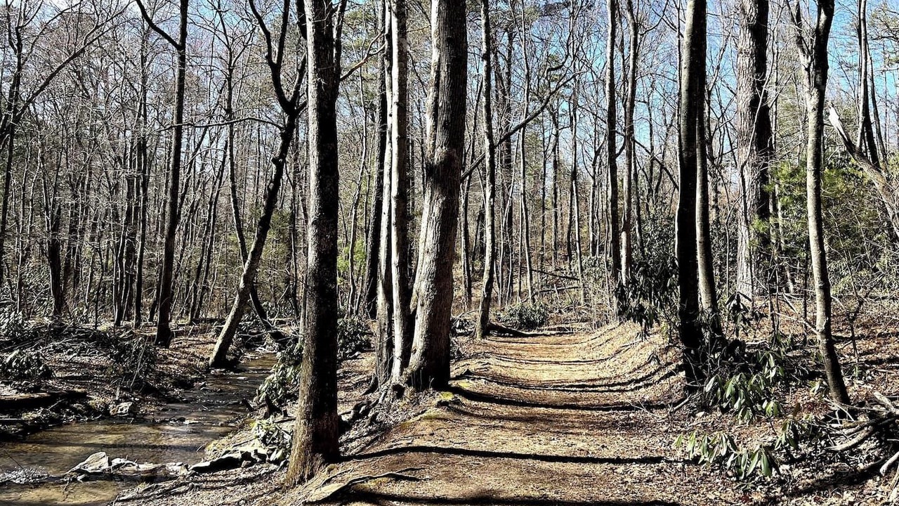 Photo of Others in Candler