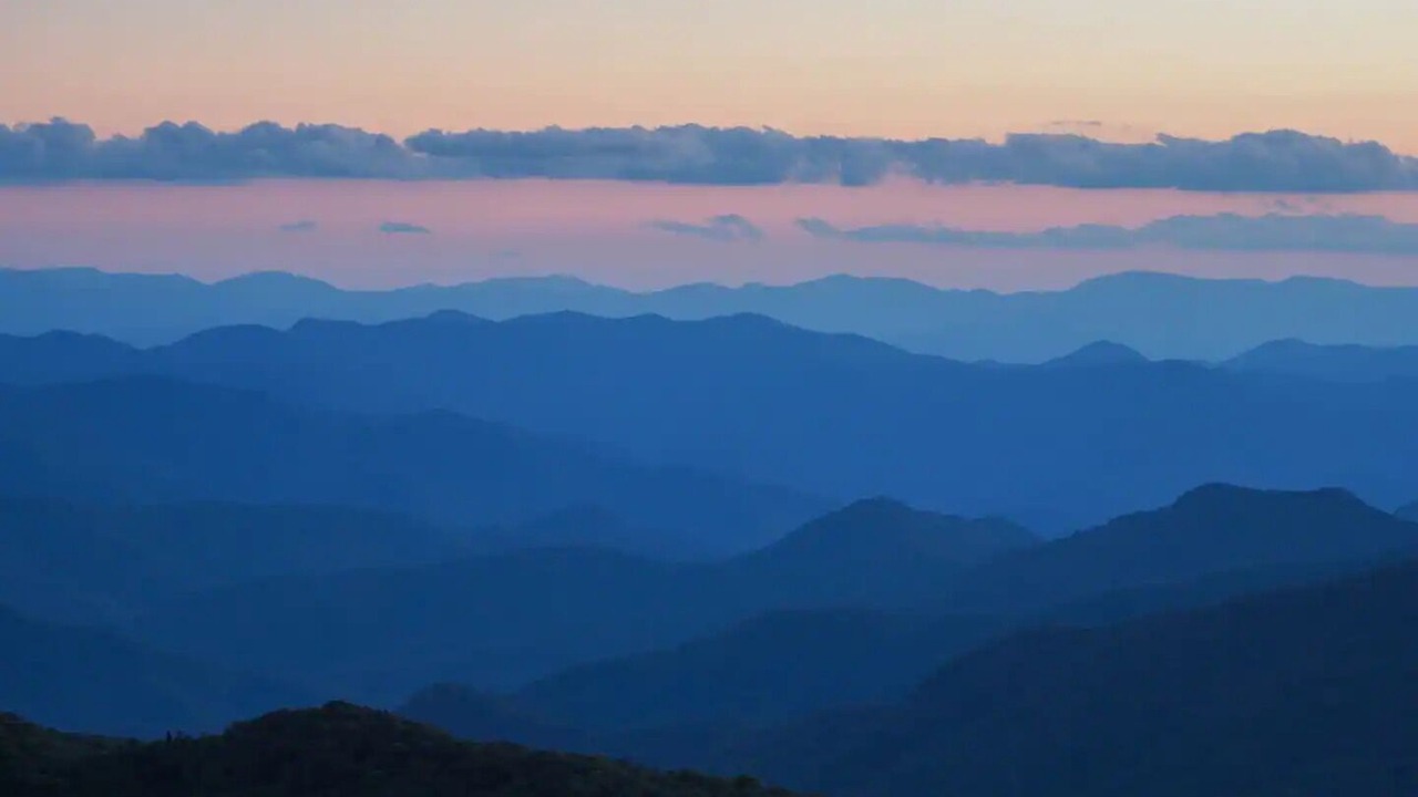 Photo of Others in Candler
