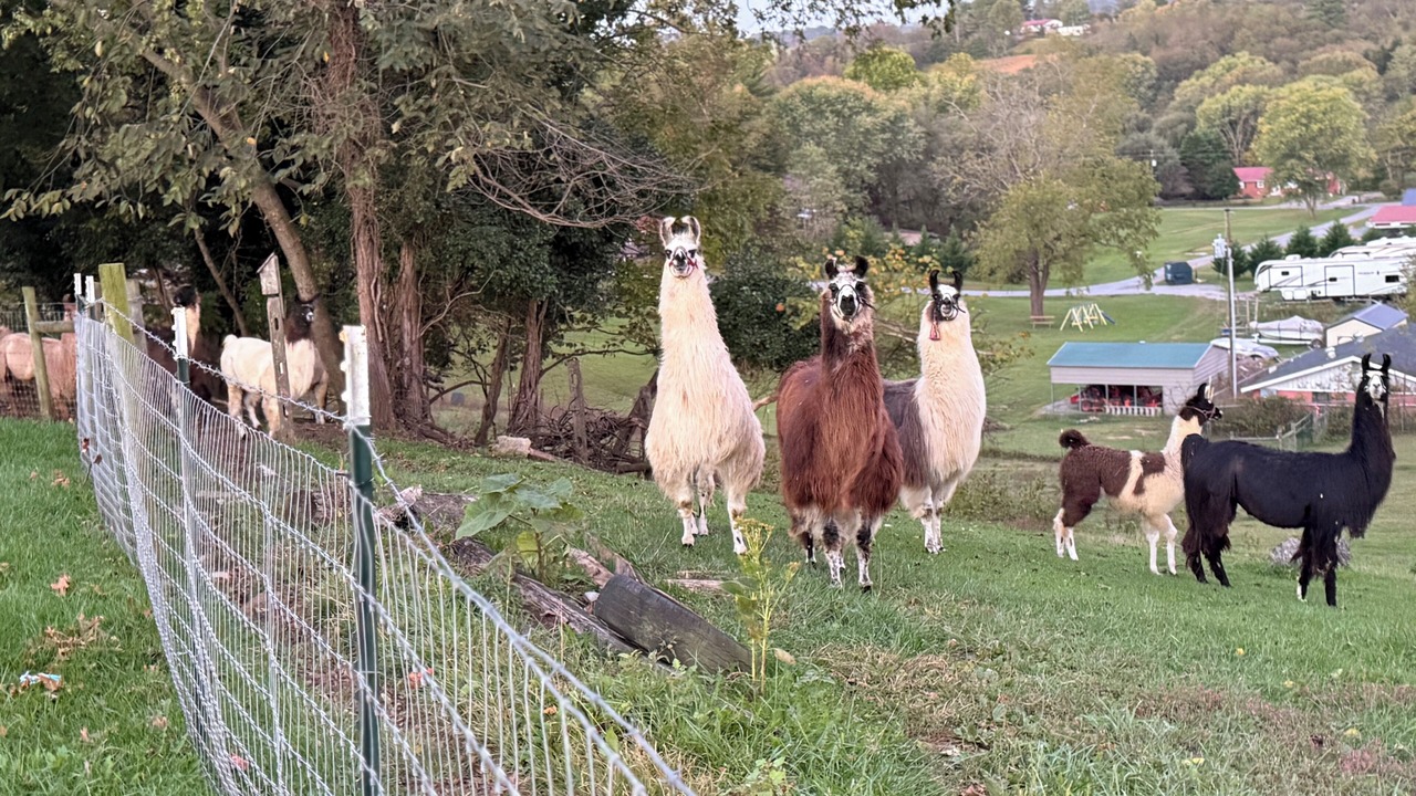 Photo of Others in Greene County
