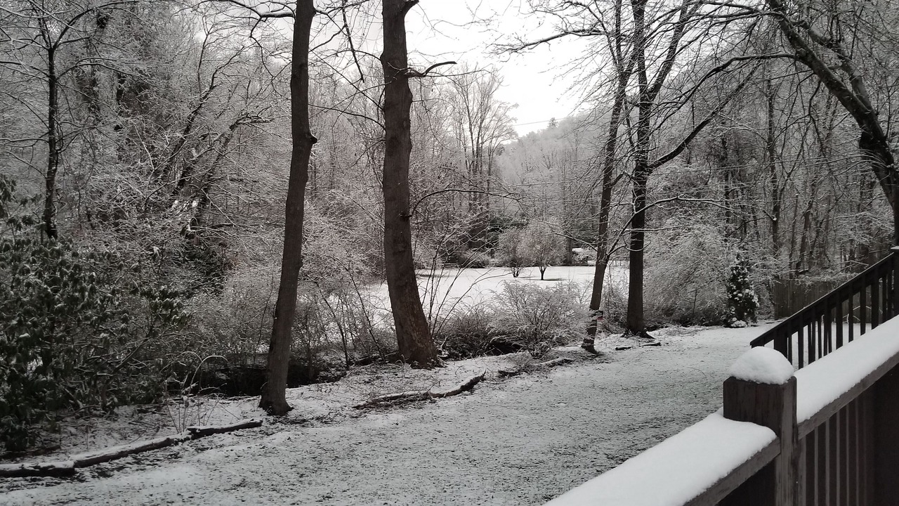 Photo of Outdoor in Candler