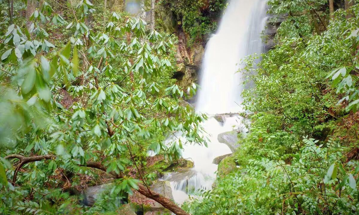 Photo of Outdoor in Brevard