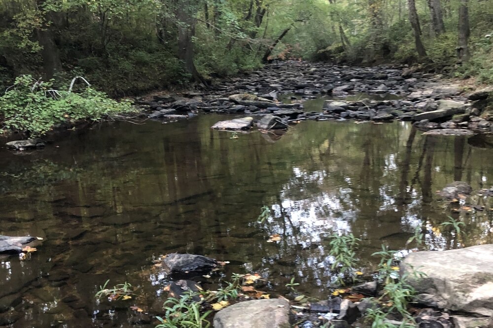 Photo of Outdoor in Valley Head